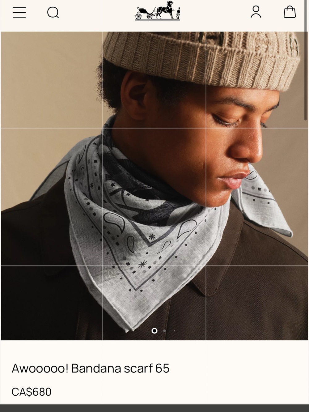 Final Price- No Offers! Hermes Cashmere Cheval Punk Gray 65 cm Bandana Scarf